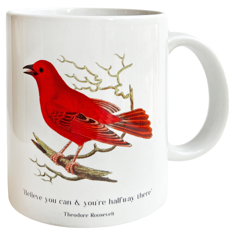 Believe You Can Mug