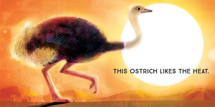 Odd Birds: Meet Nature's Weirdest Flock Book