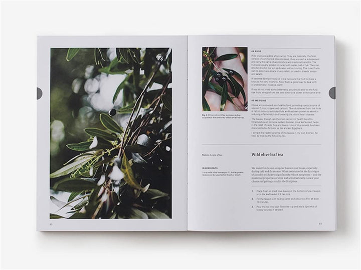 Eat Weeds: A field guide to foraging: how to identify, harvest, eat and use wild plants Book