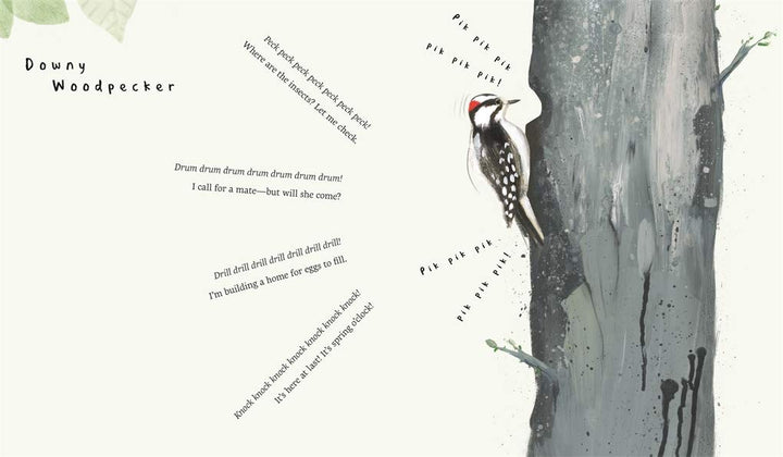 Snow Birds: 1 Book