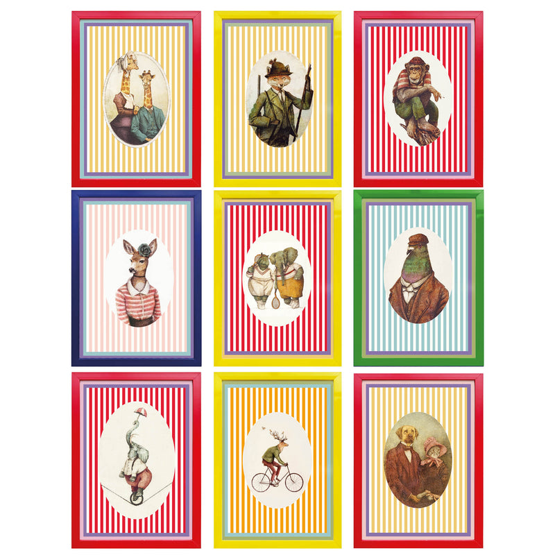 Zoological Society of Style Collection