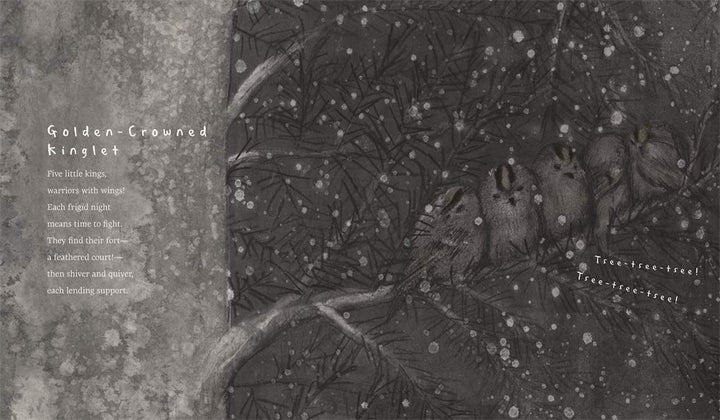 Snow Birds: 1 Book