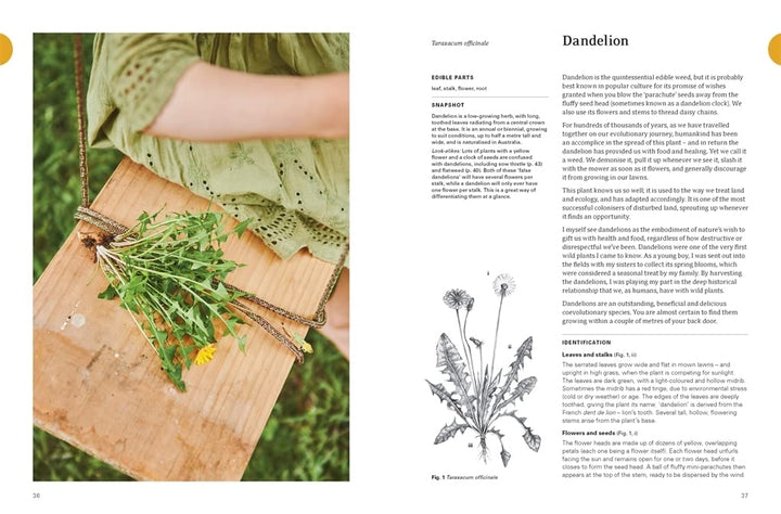Eat Weeds: A field guide to foraging: how to identify, harvest, eat and use wild plants Book