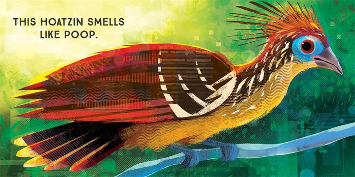 Odd Birds: Meet Nature's Weirdest Flock Book