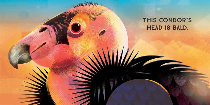 Odd Birds: Meet Nature's Weirdest Flock Book