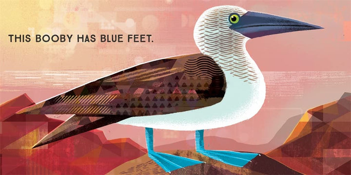 Odd Birds: Meet Nature's Weirdest Flock Book