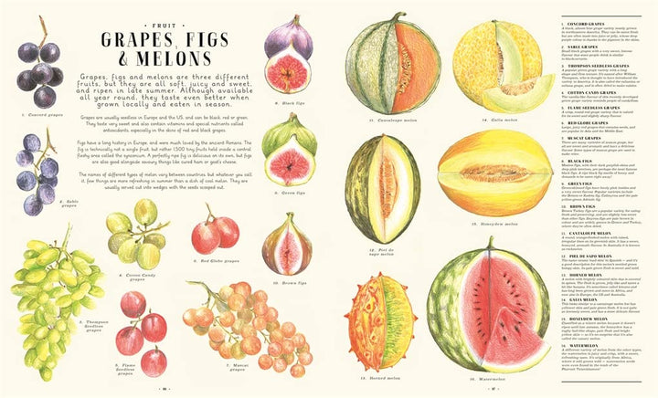 Feast Your Eyes on Food Book