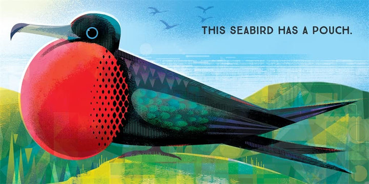 Odd Birds: Meet Nature's Weirdest Flock Book