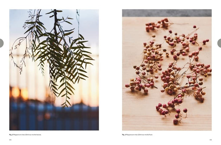 Eat Weeds: A field guide to foraging: how to identify, harvest, eat and use wild plants Book
