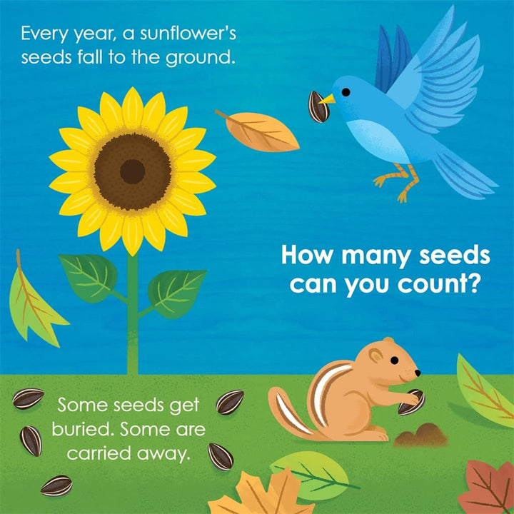 Montessori: Seed Work Book