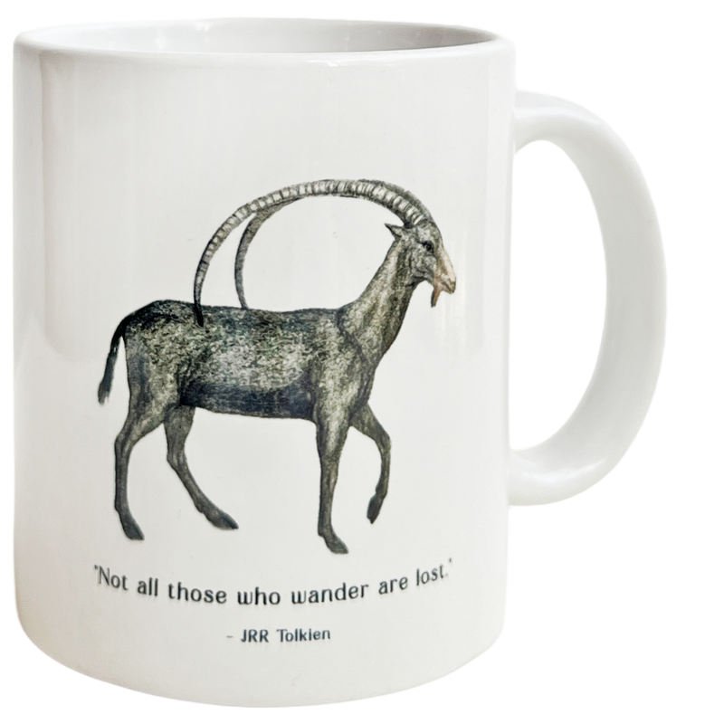 Not All Who Wander Mug