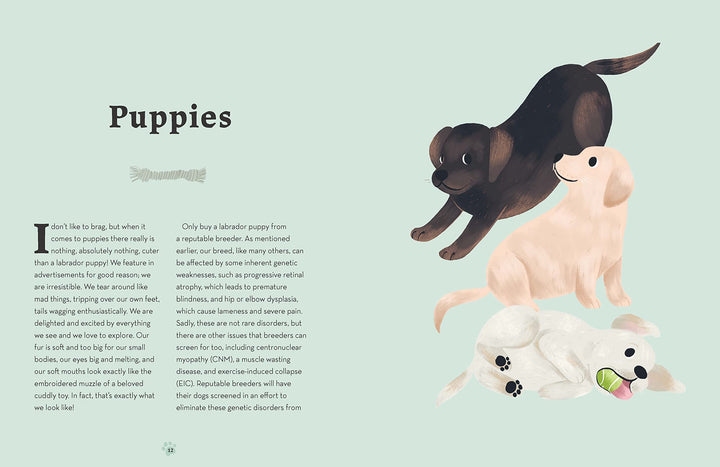 Labradors: What labradors want: in their own words, woofs and wags (Illustrated Dog Care) Book