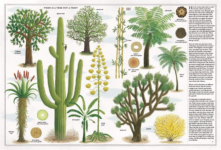 The Book of Trees Book