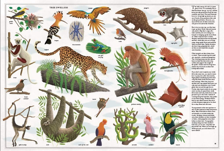 The Book of Trees Book