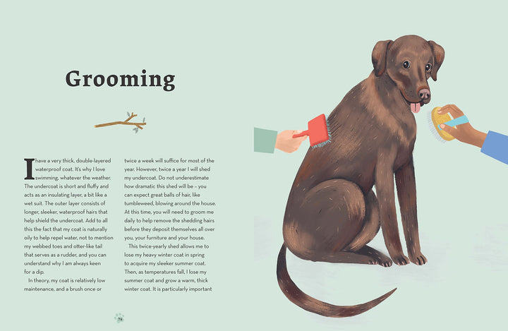 Labradors: What labradors want: in their own words, woofs and wags (Illustrated Dog Care) Book