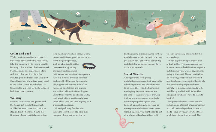 Labradors: What labradors want: in their own words, woofs and wags (Illustrated Dog Care) Book