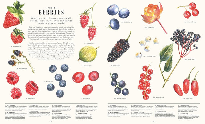Feast Your Eyes on Food Book
