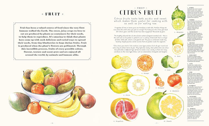 Feast Your Eyes on Food Book