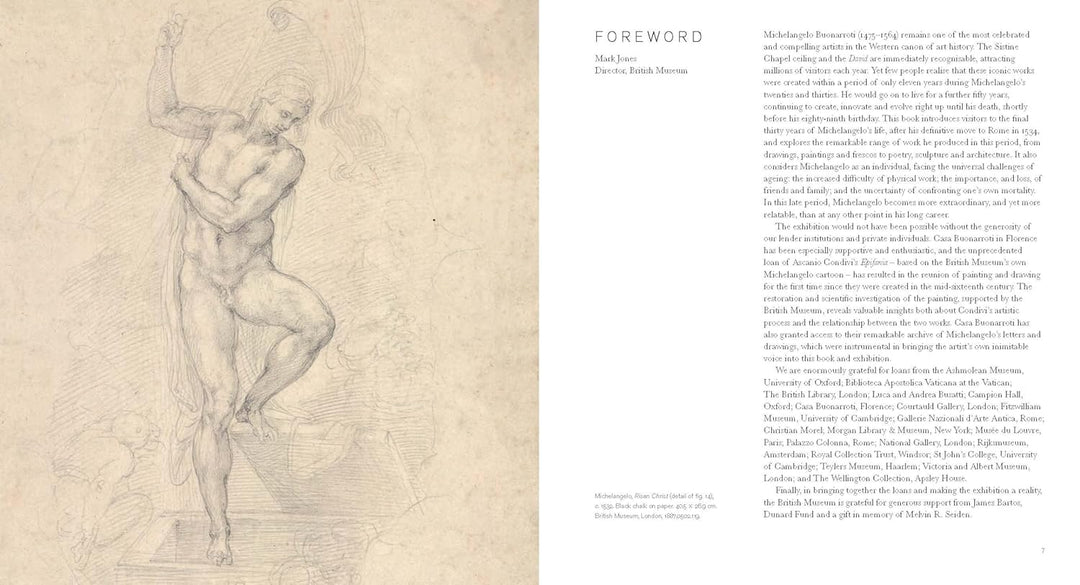 Michelangelo: the last decades Book