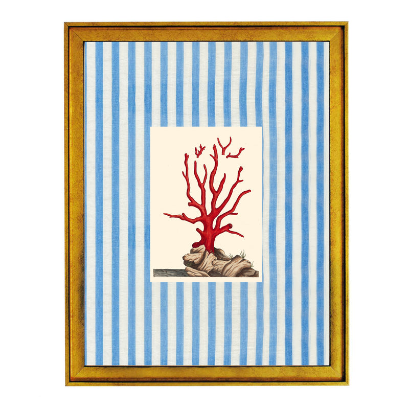 Underwater Coral Art Print