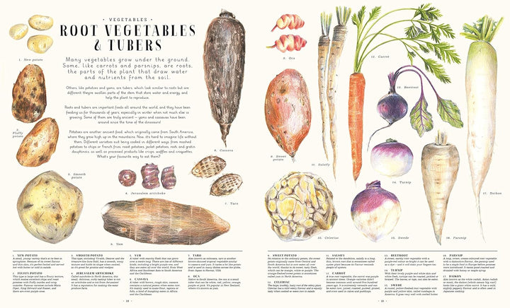 Feast Your Eyes on Food Book