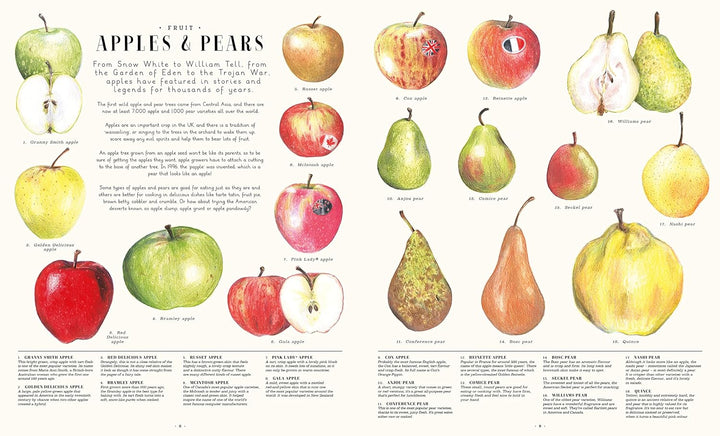 Feast Your Eyes on Food Book