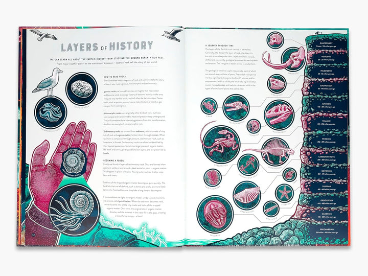 Bang: The wild wonders of Earth’s phenomena Book