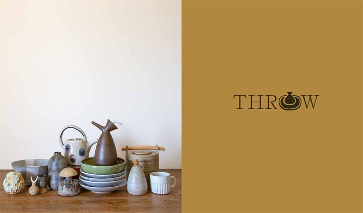 Earth & Fire: Modern potters, their tools, techniques and practices Book