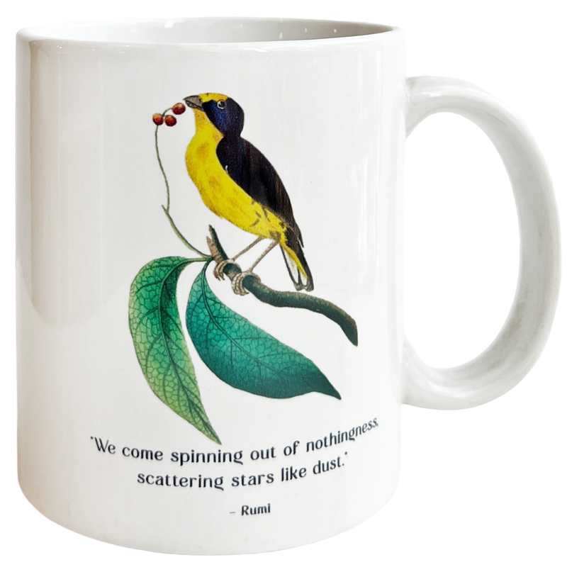 Scattering Stars Mug