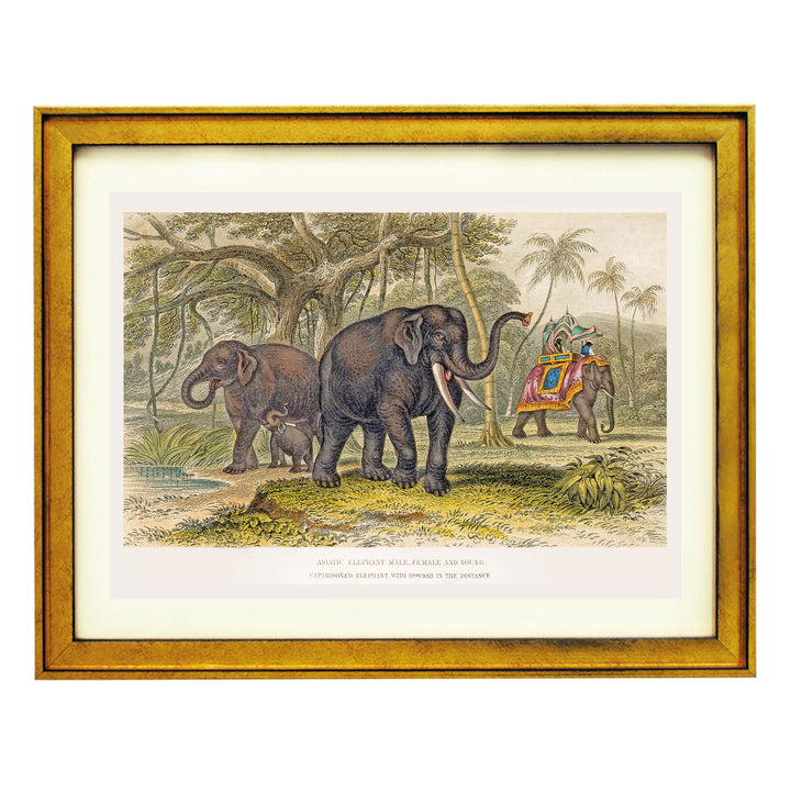 The Majestic Herd Art Print