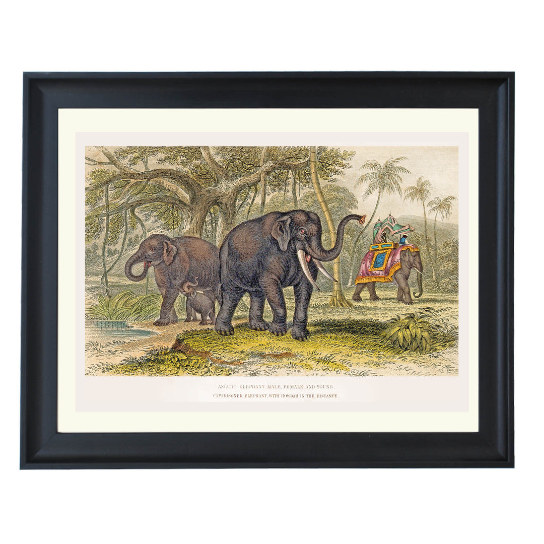The Majestic Herd Art Print