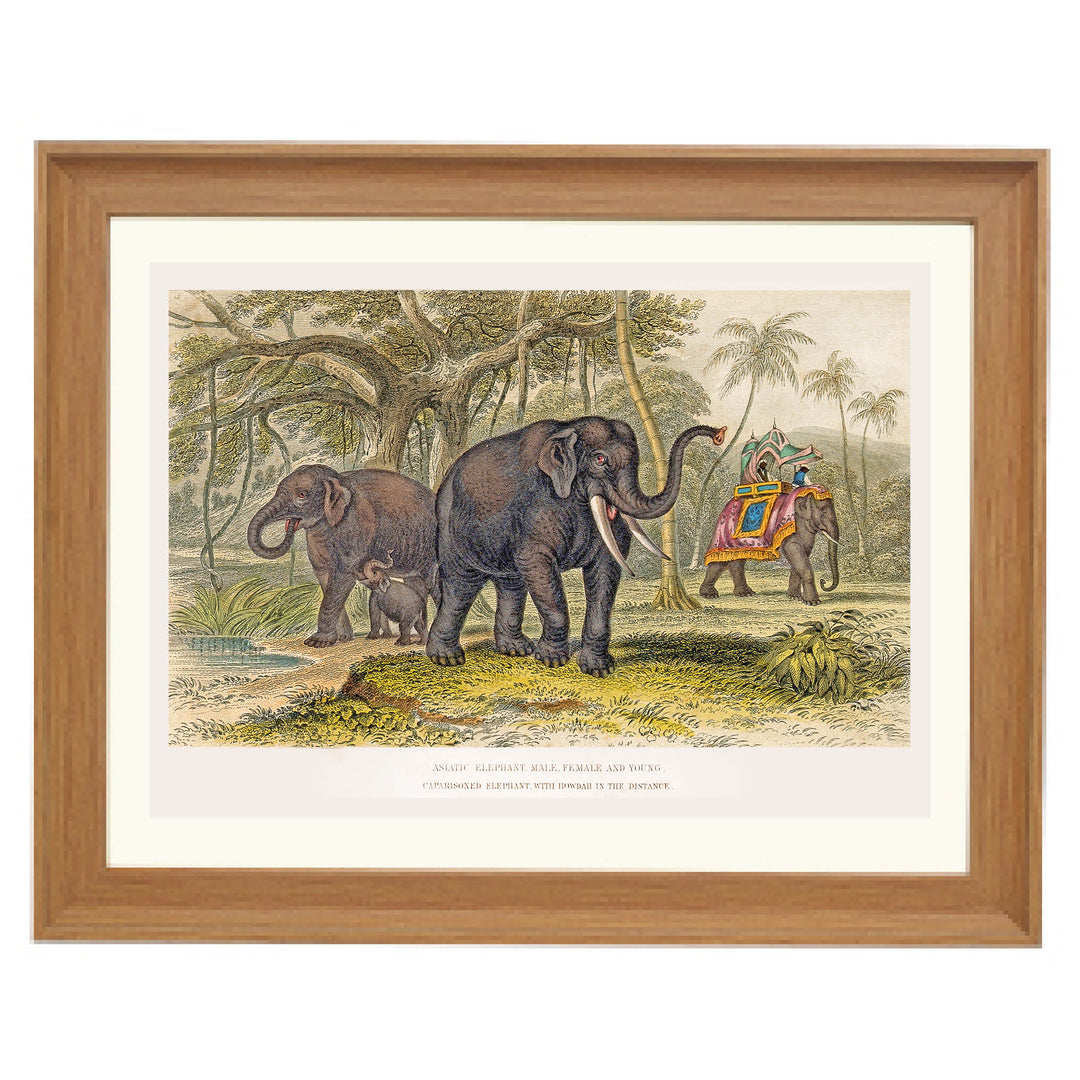 The Majestic Herd Art Print