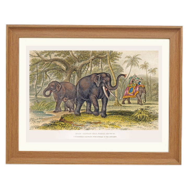 The Majestic Herd Art Print