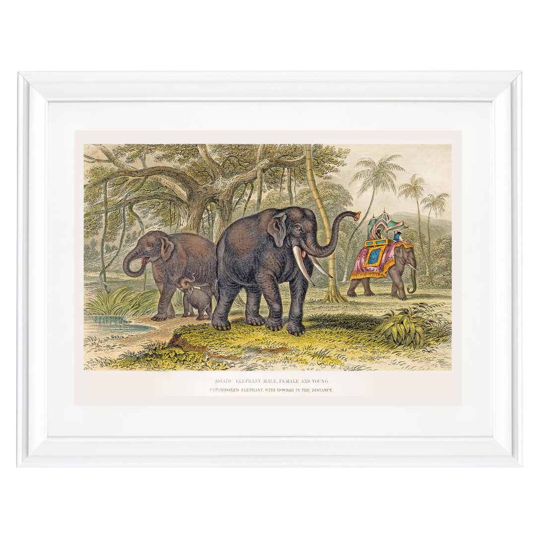 The Majestic Herd Art Print