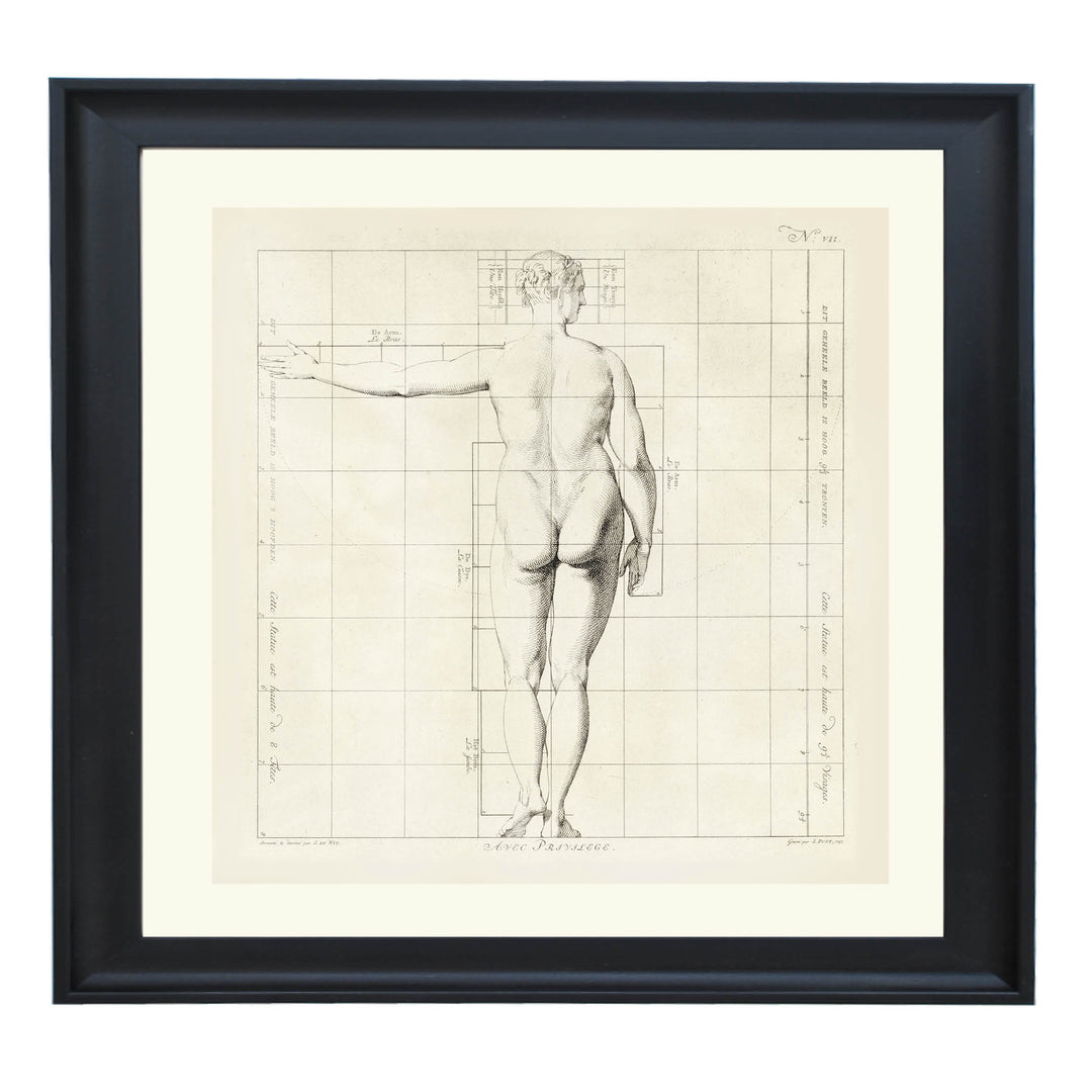Proportions of the Human Form Art Print