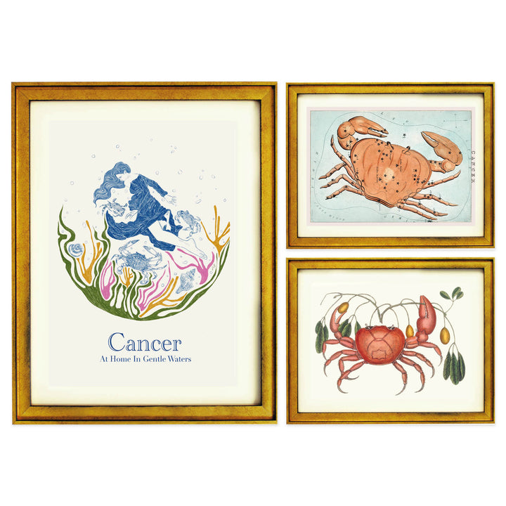 The Cancerian Collection
