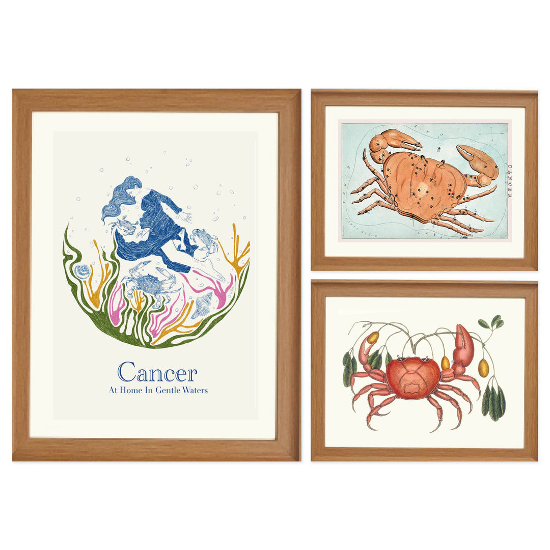 The Cancerian Collection