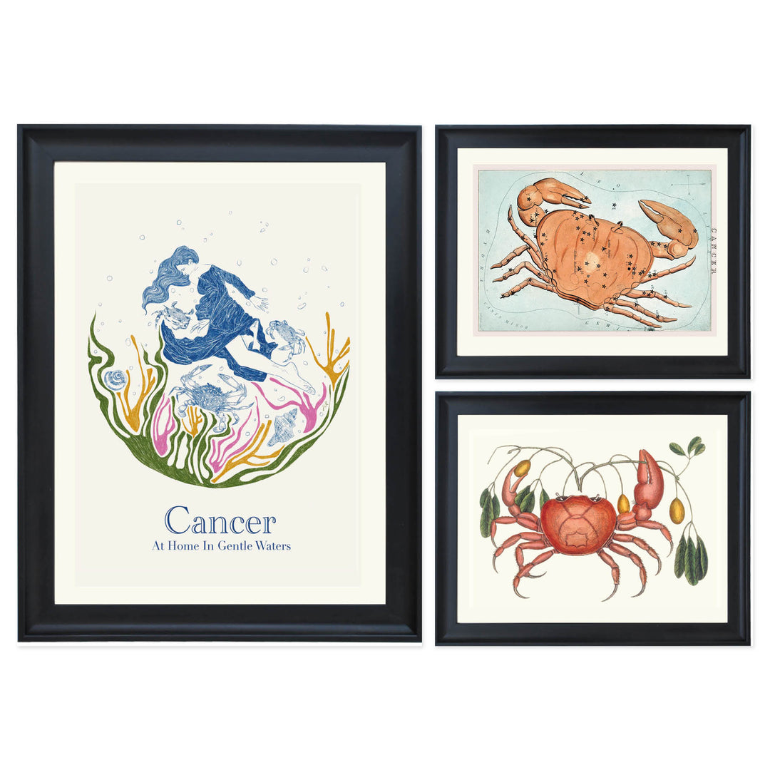 The Cancerian Collection