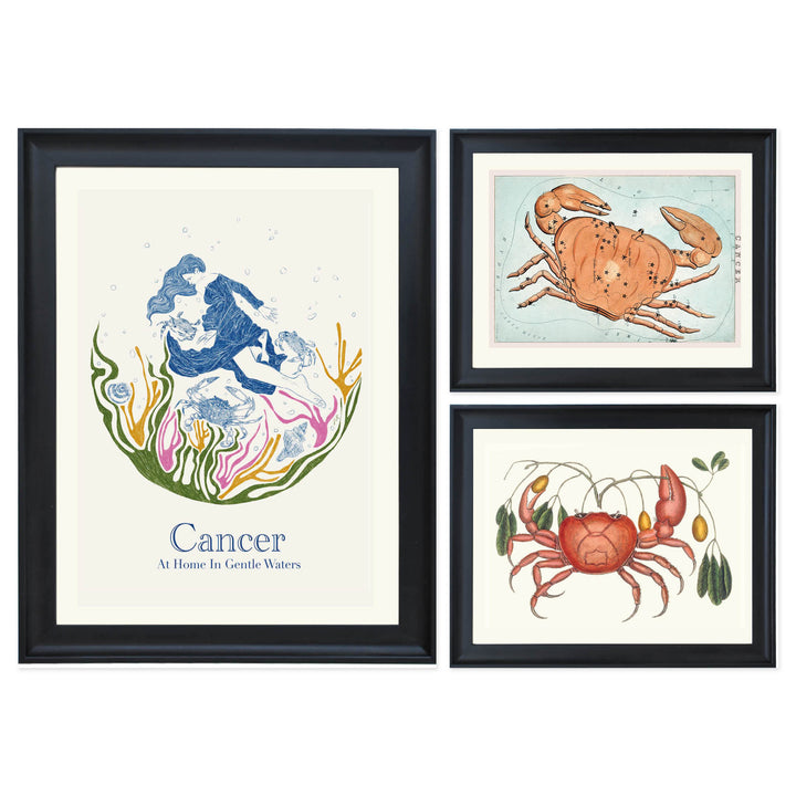 The Cancerian Collection