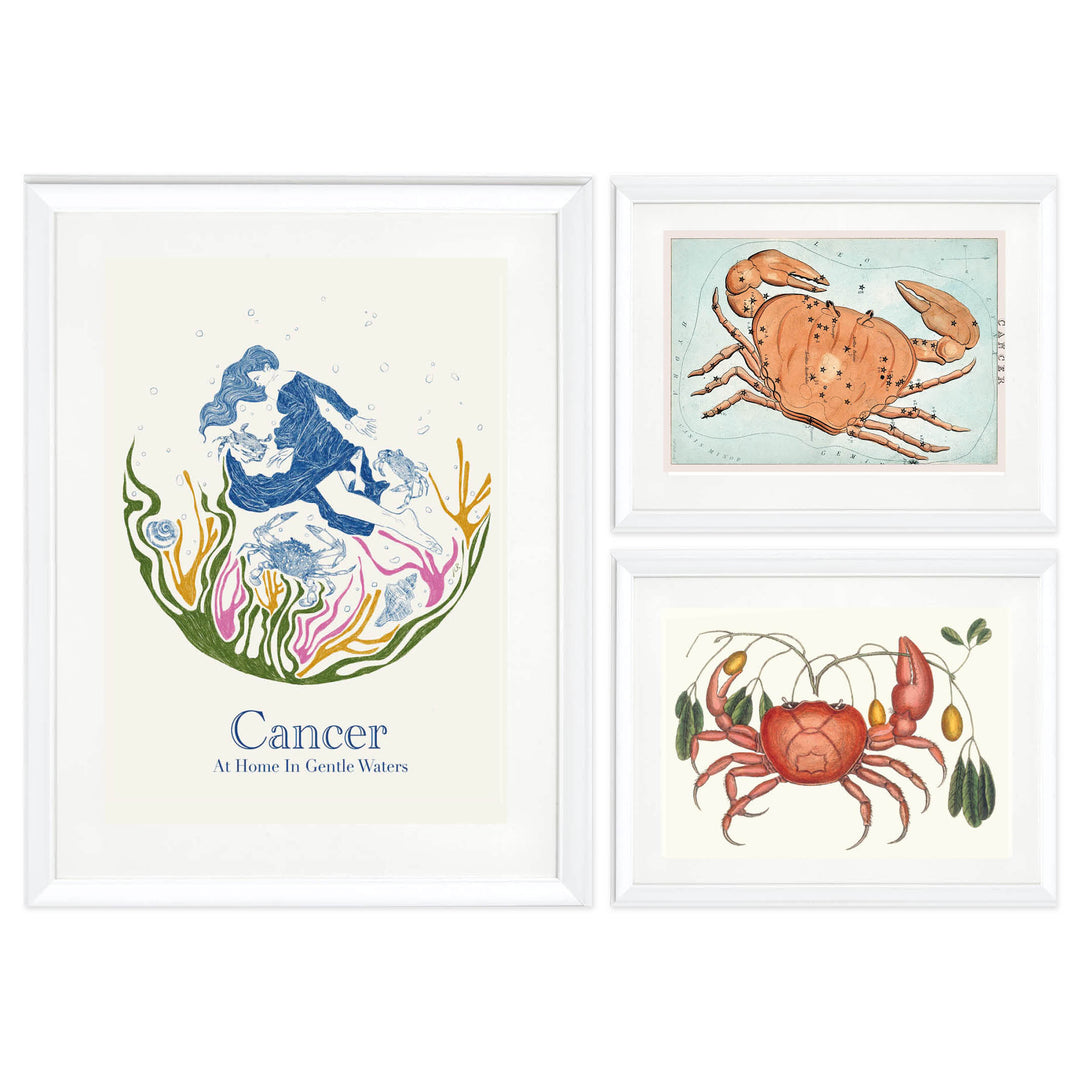 The Cancerian Collection