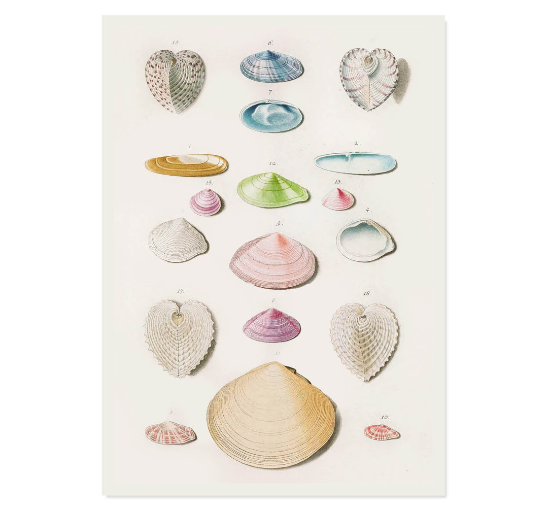 Treasures of the Tide Art Print