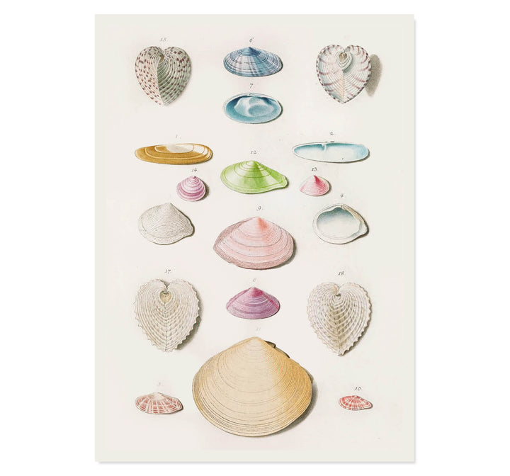 Treasures of the Tide Art Print