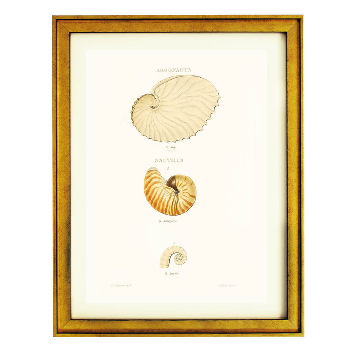Spiral Stories Art Print
