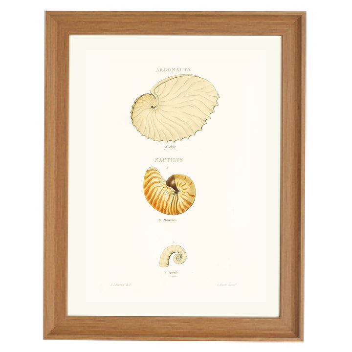 Spiral Stories Art Print