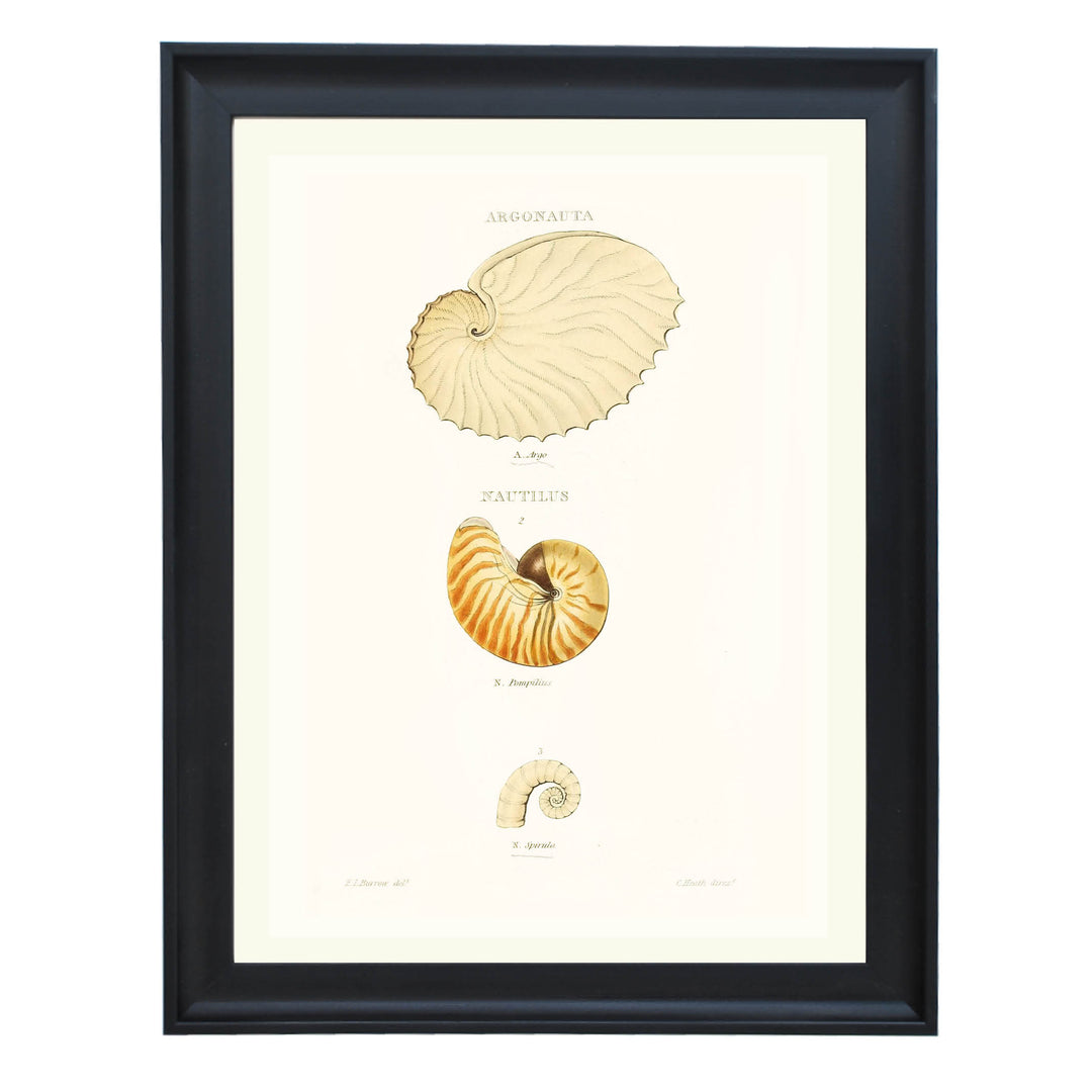 Spiral Stories Art Print