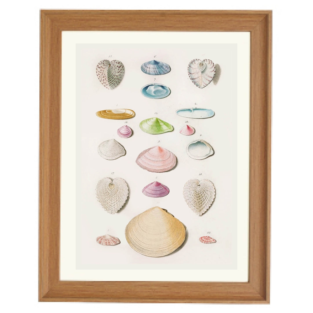 Treasures of the Tide Art Print