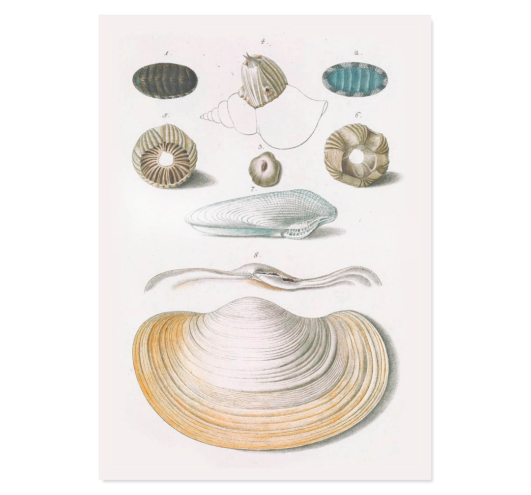 Echoes from the Ocean Floor Art Print