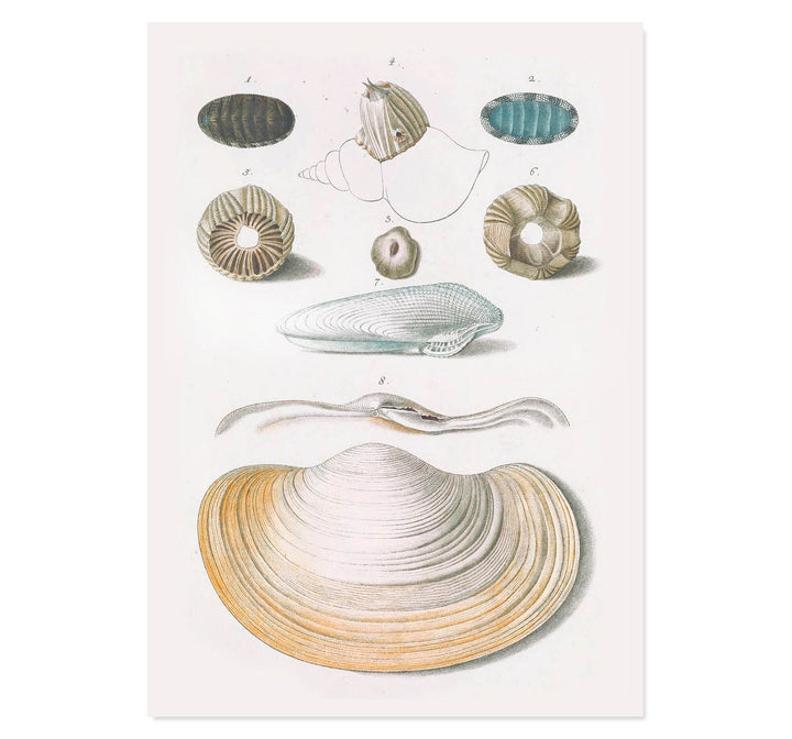Echoes from the Ocean Floor Art Print