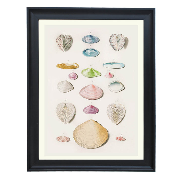 Treasures of the Tide Art Print