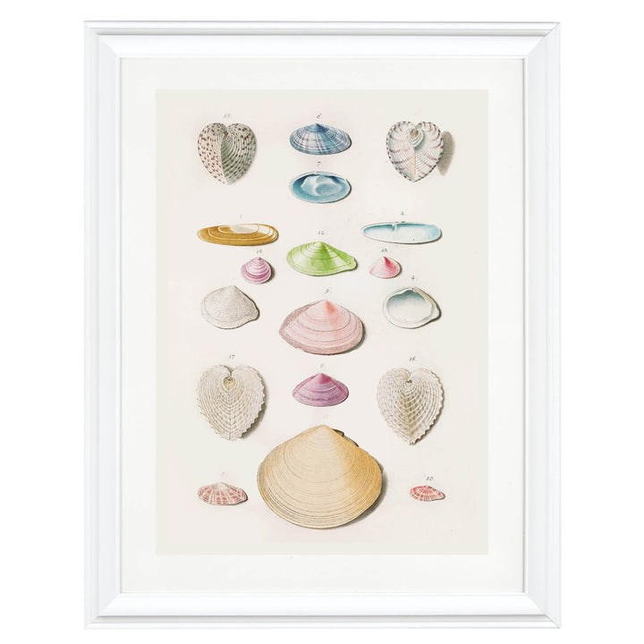 Treasures of the Tide Art Print